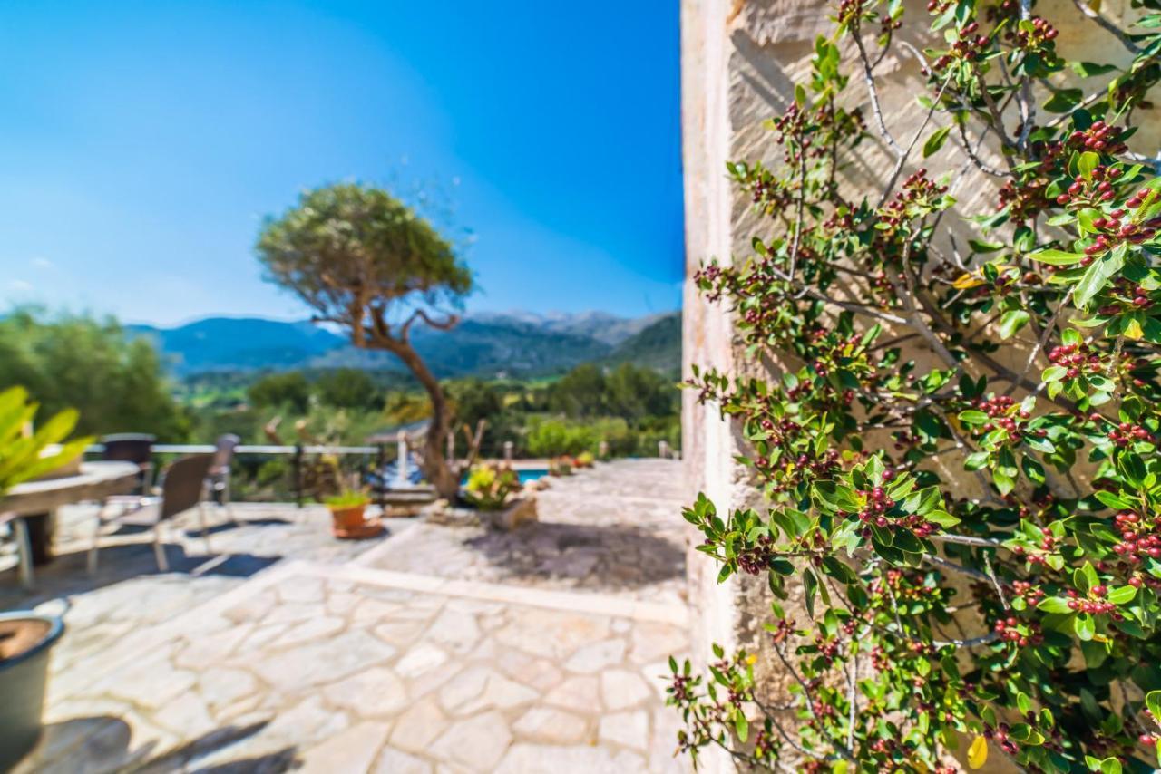 Ideal Mallorca - Caselles Petit *
